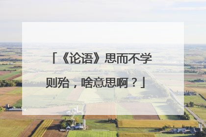 《论语》思而不学则殆,啥意思啊?