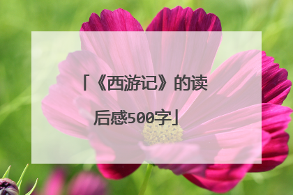 《西游记》的读后感500字