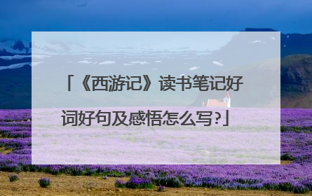 《西游记》读书笔记好词好句及感悟怎么写?