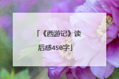 《西游记》读后感450字