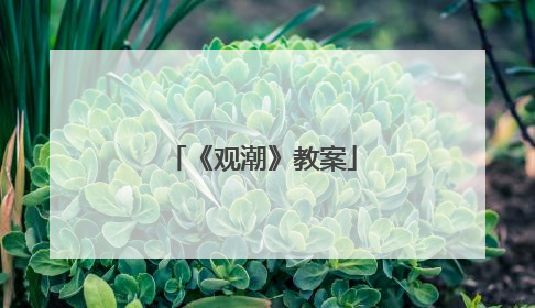 《观潮》教案
