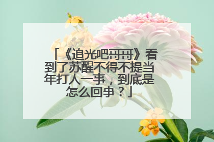 《追光吧哥哥》看到了苏醒不得不提当年打人一事，到底是怎么回事？
