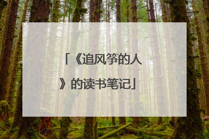 《追风筝的人》的读书笔记