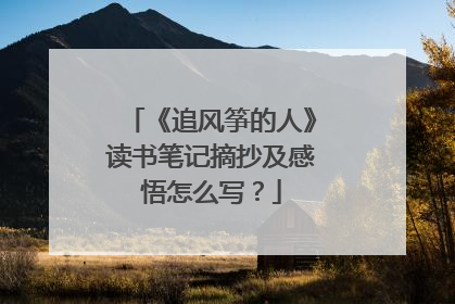 《追风筝的人》读书笔记摘抄及感悟怎么写？