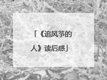 《追风筝的人》读后感