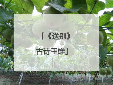 《送别》古诗王维