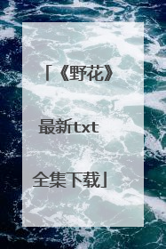 《野花》最新txt全集下载
