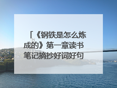 《钢铁是怎么炼成的》第一章读书笔记摘抄好词好句及感悟有哪些?
