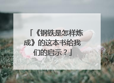 《钢铁是怎样炼成》的这本书给我们的启示?