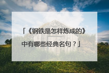 《钢铁是怎样炼成的》中有哪些经典名句?