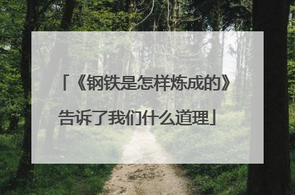 《钢铁是怎样炼成的》告诉了我们什么道理