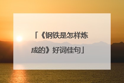 《钢铁是怎样炼成的》好词佳句