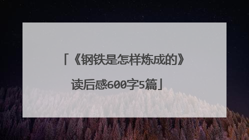 《钢铁是怎样炼成的》读后感600字5篇