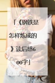 《钢铁是怎样炼成的》读后感600字