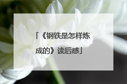 《钢铁是怎样炼成的》读后感