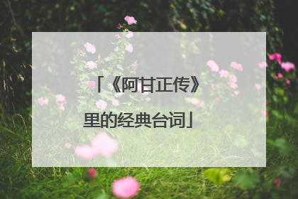 《阿甘正传》里的经典台词