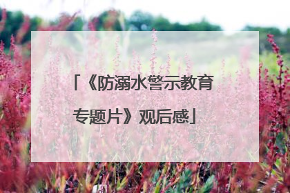 《防溺水警示教育专题片》观后感