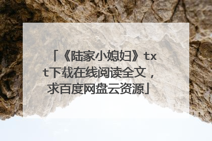 《陆家小媳妇》txt下载在线阅读全文，求百度网盘云资源
