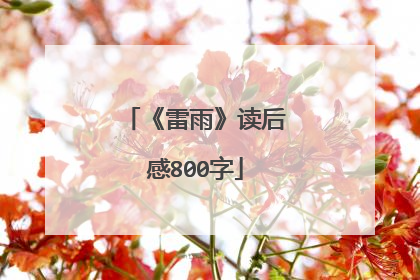 《雷雨》读后感800字