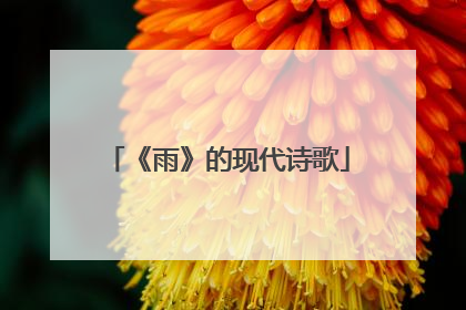 《雨》的现代诗歌