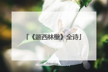 《题西林壁》全诗