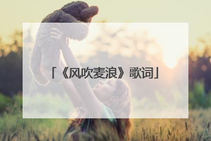 《风吹麦浪》歌词