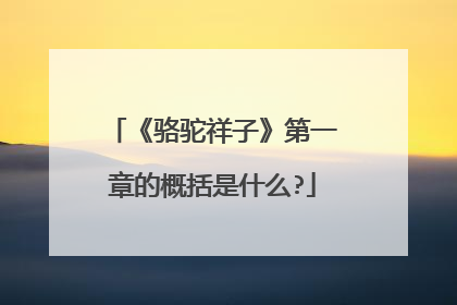 《骆驼祥子》第一章的概括是什么?