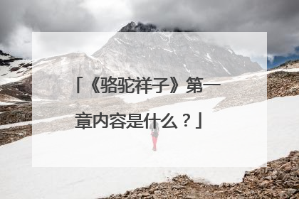 《骆驼祥子》第一章内容是什么？