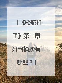 《骆驼祥子》第一章好句摘抄有哪些?