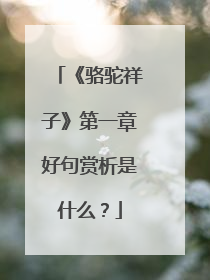 《骆驼祥子》第一章好句赏析是什么?