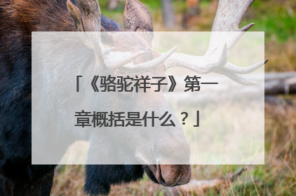 《骆驼祥子》第一章概括是什么？