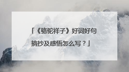 《骆驼祥子》好词好句摘抄及感悟怎么写？