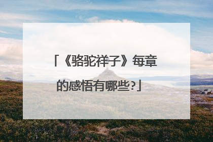 《骆驼祥子》每章的感悟有哪些?