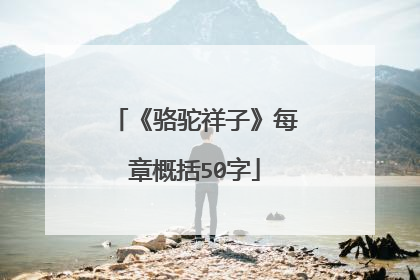 《骆驼祥子》每章概括50字
