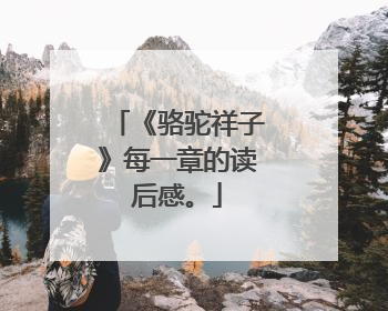 《骆驼祥子》每一章的读后感。