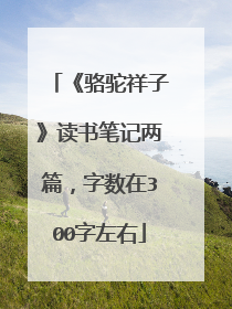 《骆驼祥子》读书笔记两篇,字数在300字左右