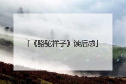 《骆驼祥子》读后感