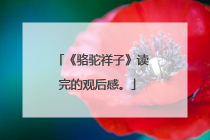 《骆驼祥子》读完的观后感。