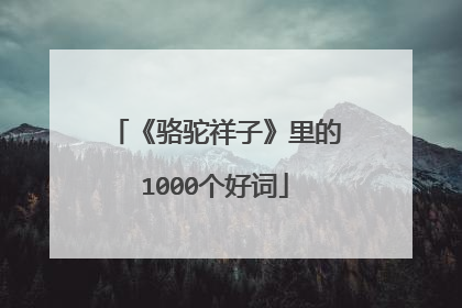 《骆驼祥子》里的1000个好词
