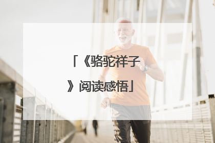《骆驼祥子》阅读感悟
