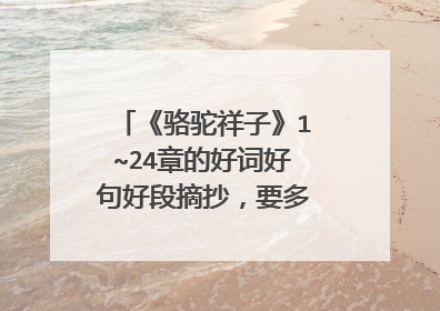《骆驼祥子》1~24章的好词好句好段摘抄，要多哟，我急需用。