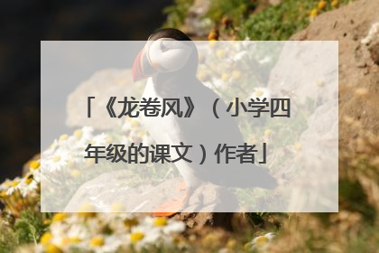 《龙卷风》（小学四年级的课文）作者