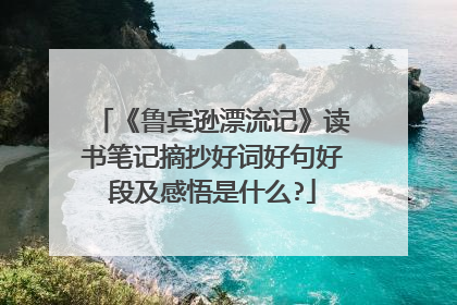 《鲁宾逊漂流记》读书笔记摘抄好词好句好段及感悟是什么?