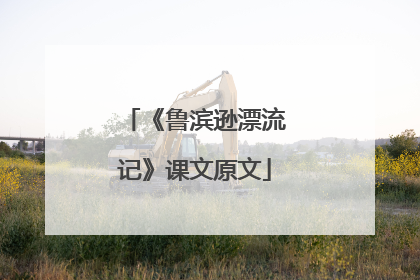 《鲁滨逊漂流记》课文原文