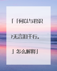 「何以与君识?无言泪千行。」怎么解释