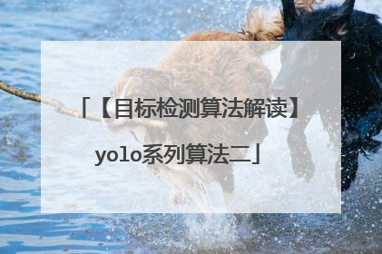 【目标检测算法解读】yolo系列算法二
