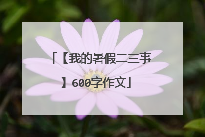 【我的暑假二三事】600字作文