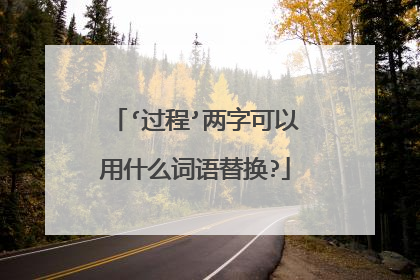 ‘过程’两字可以用什么词语替换?
