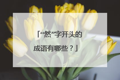 “然”字开头的成语有哪些?