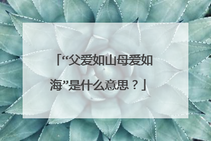 “父爱如山母爱如海”是什么意思？